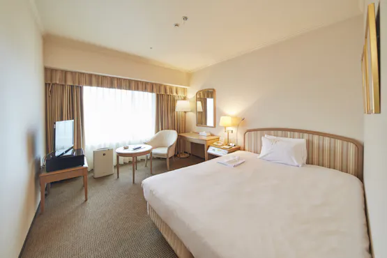 半雙人房(23平方米)