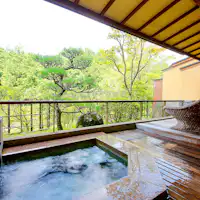 【高级】带花岗岩露天浴池的客房