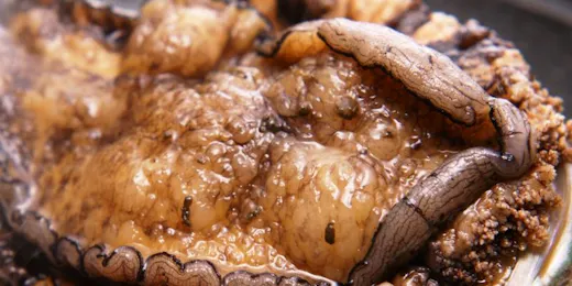 佳翠苑 皆美
