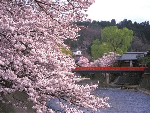 นาคาฮาชิ (ฤดูใบไม้ผลิ)