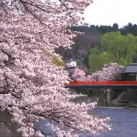 นาคาฮาชิ (ฤดูใบไม้ผลิ)