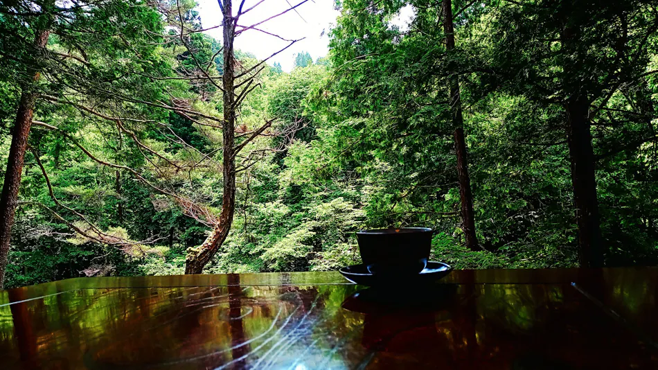 Japanese Inn Hida Takayama Wanosato