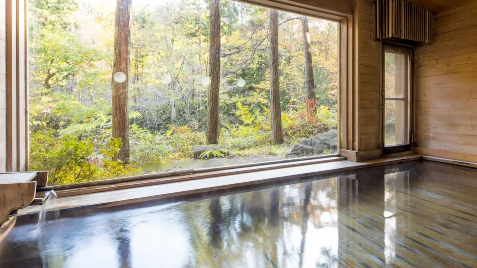Japanese Inn Hida Takayama Wanosato
