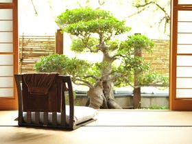 千曲乃湯 しげの家