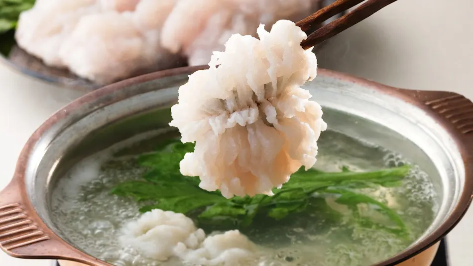Ohara Onsen Yumoto Shunmi Sosai Oyado Seriyu