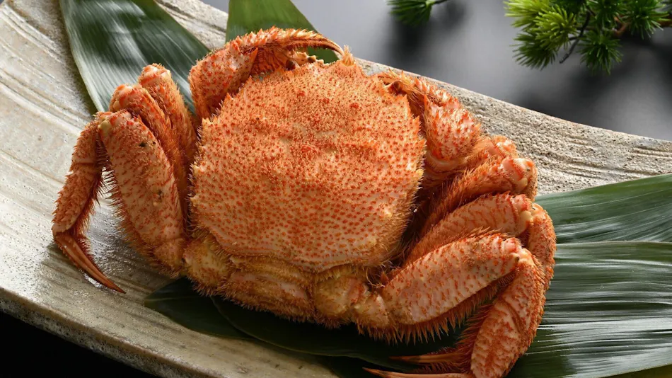 Kuriya Yasohachi