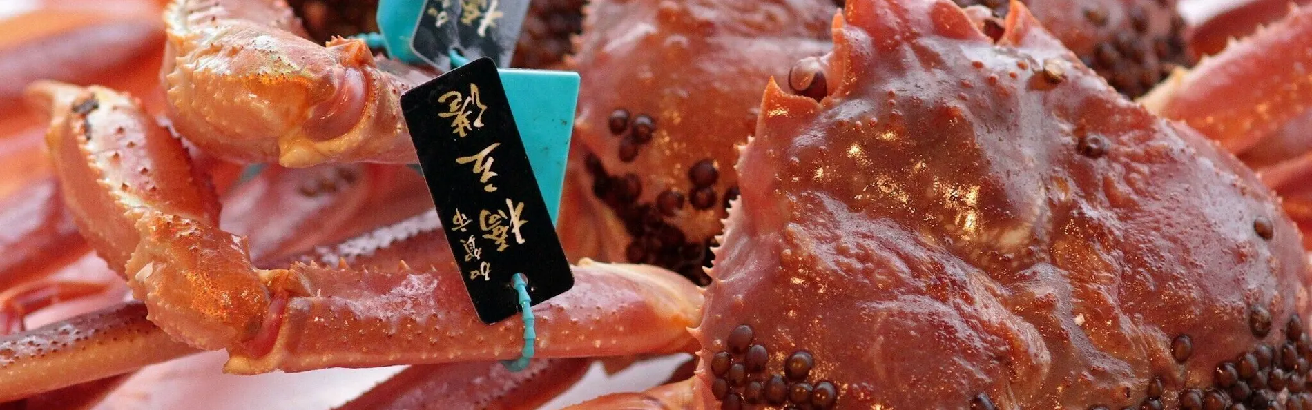 風味吟撰の宿 厨八十八