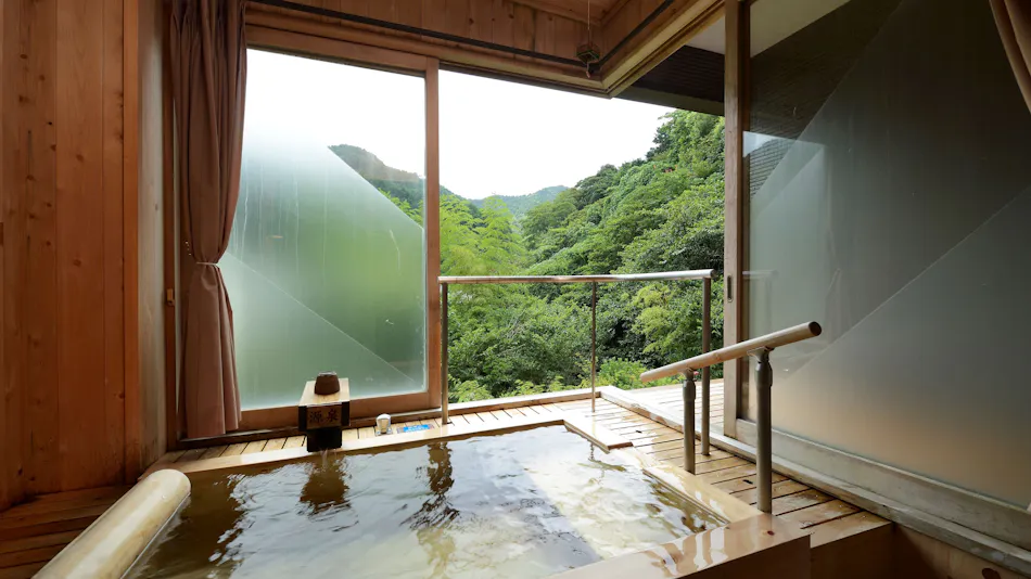 Insen, Private Source Flowing Hot Spring - Kannon Onsen
