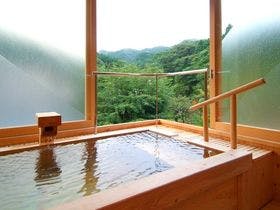 伊豆奥下田 飲泉、自家源泉かけ流しの秘湯　観音温泉