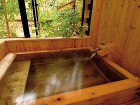 伊豆奥下田 飲泉、自家源泉かけ流しの秘湯　観音温泉