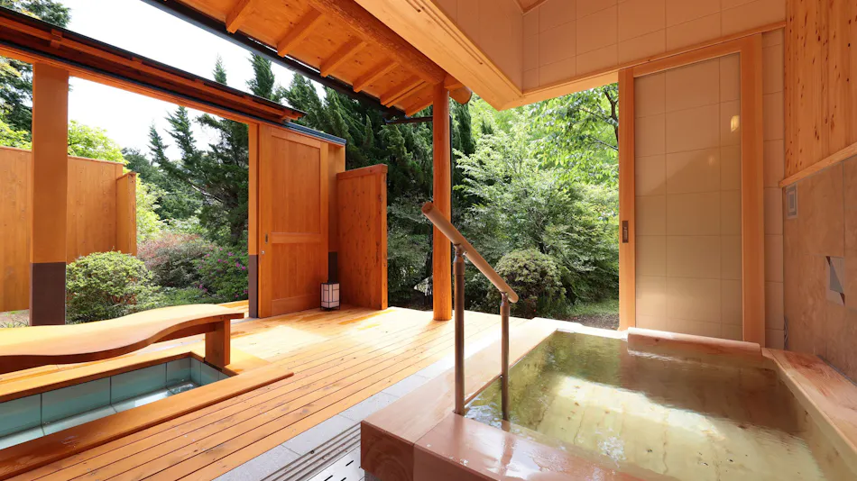 Insen, Private Source Flowing Hot Spring - Kannon Onsen