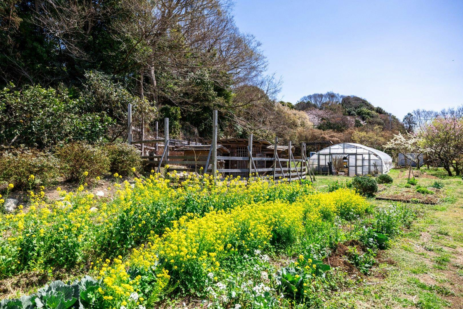 知多半島　海のしょうげつ