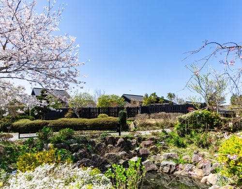 庭園からの外観春