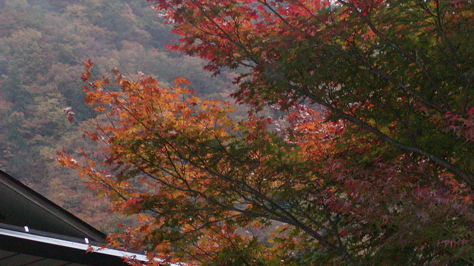 Keiunkan Inn, Nishiyama Onsen, Entirely Fed by Natural Hot Springs