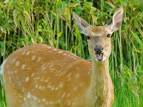 ＡＮＡクラウンプラザホテル稚内（旧・稚内全日空ホテル）
