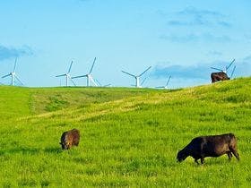 サフィールホテル稚内 1枚目