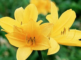 サフィールホテル稚内 2枚目