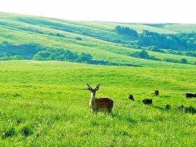 ＡＮＡクラウンプラザホテル稚内（旧・稚内全日空ホテル）
