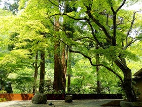 星のや京都
