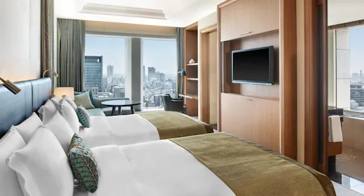 グランドデラックスプリミエツイン 46平米