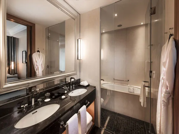 デラックスツイン 43平米