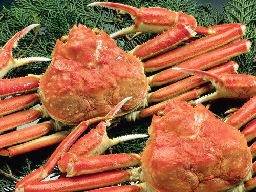 【冬】新鮮な地魚、タグ付きかにも味わえる【地蟹付き懐石プラン】