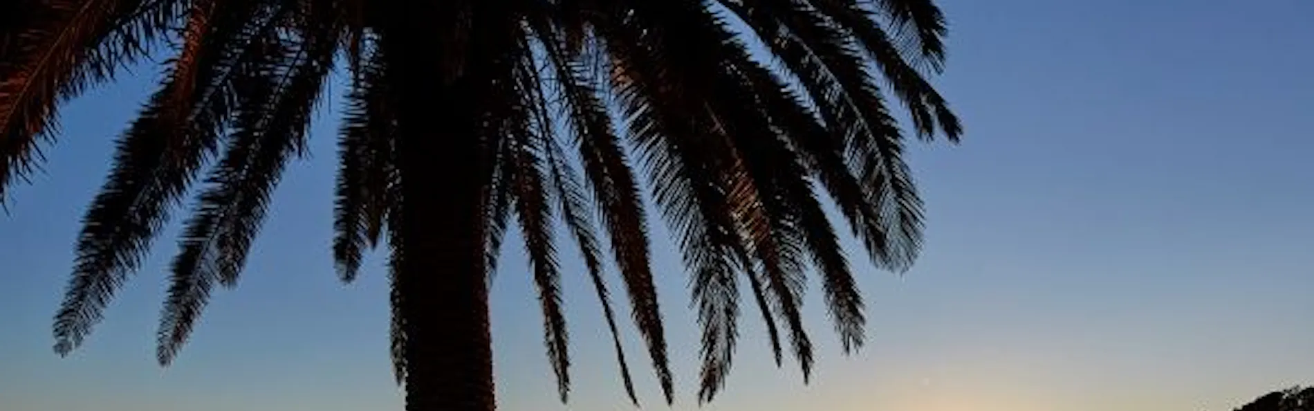 NEMU RESORT(ネムリゾート)