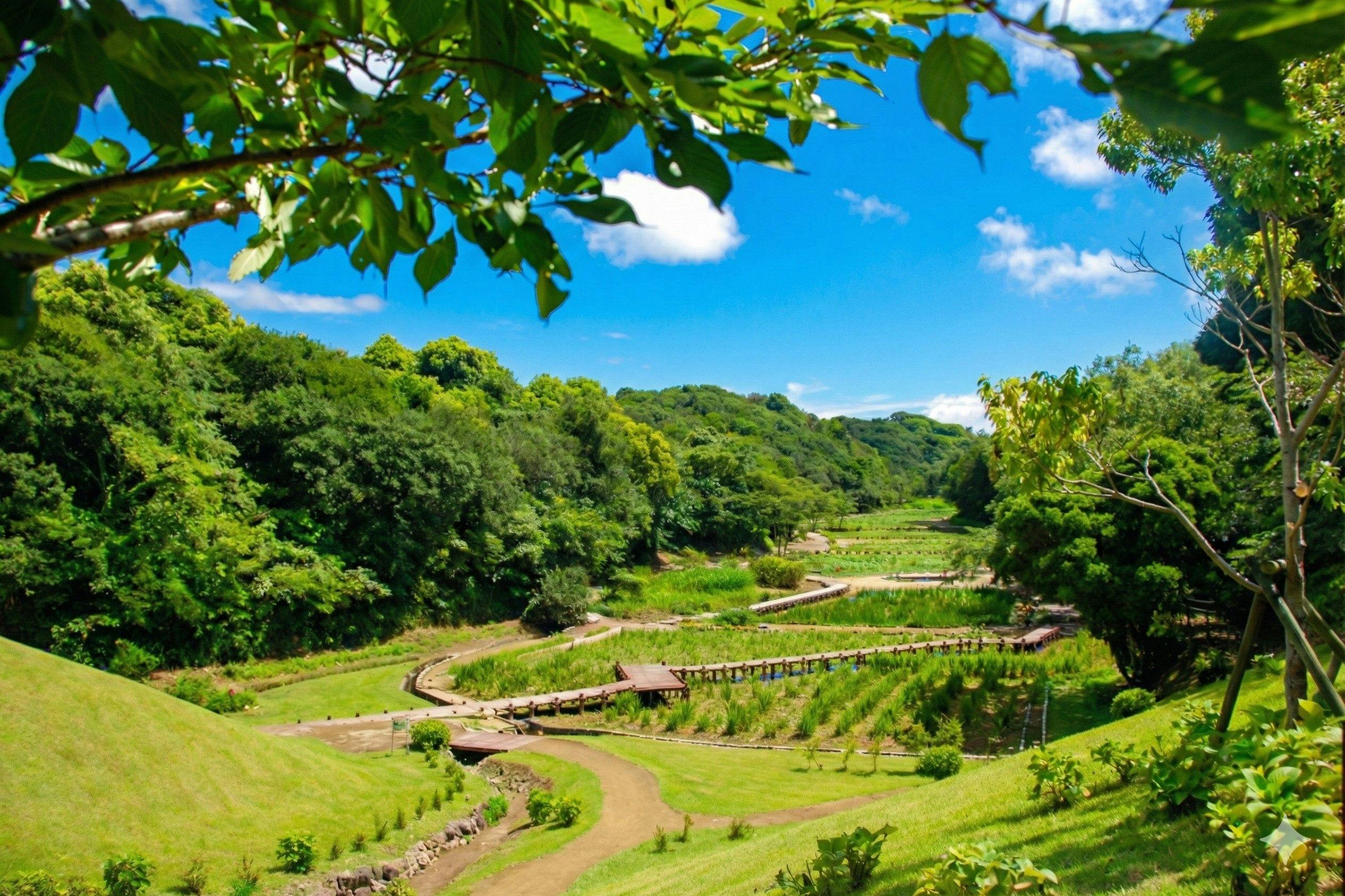 NEMU RESORT（ネムリゾート）