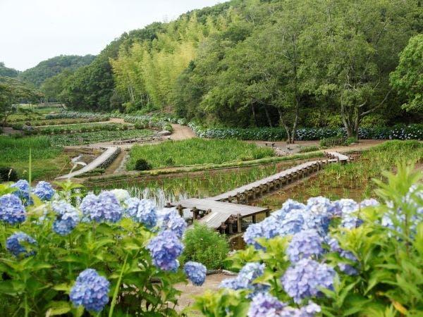 NEMU RESORT（ネムリゾート）