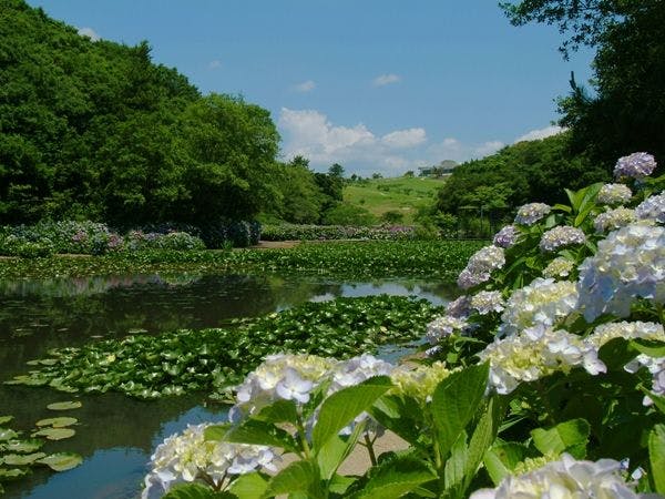NEMU RESORT（ネムリゾート）