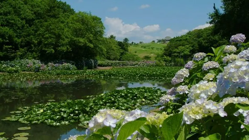 NEMU RESORT