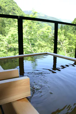 露天風呂からの新緑まっさかり