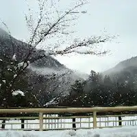 雪景色