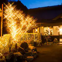 幻想的なイルミネーション