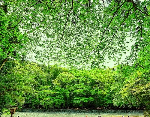 新緑の伊勢神宮