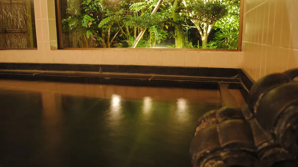Kappo Ryokan Shinkanou