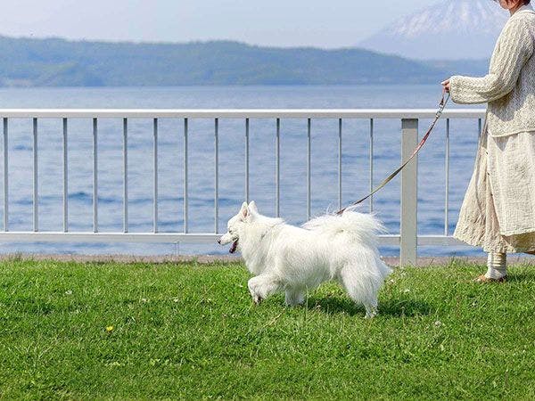 The Lakeview TOYA Nonokaze Resort