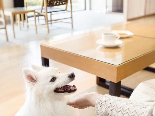 【客室】パジャマご用意しています。