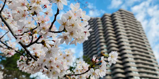 東京マリオットホテル