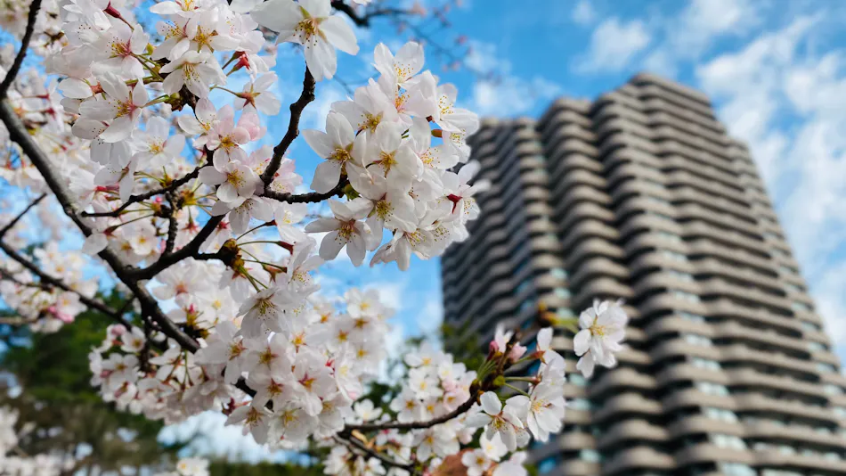 Tokyo Marriott Hotel