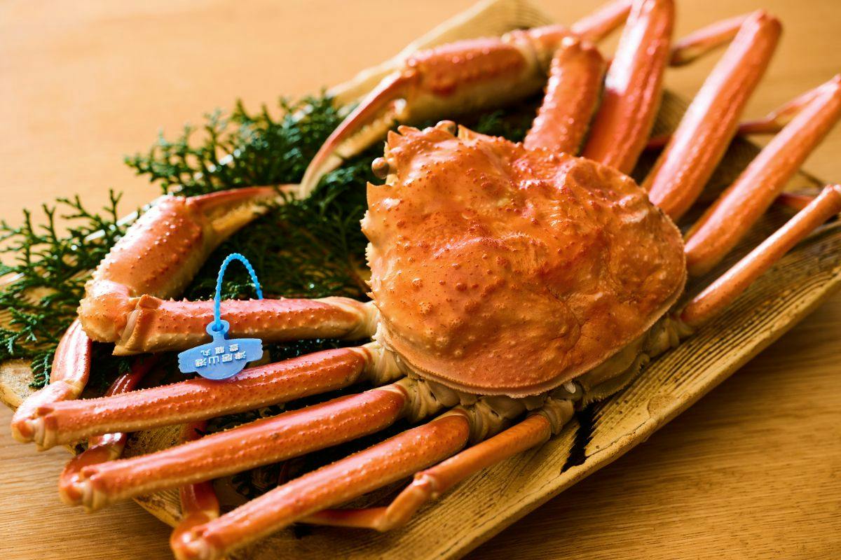【タグ付き活がにお1人約1杯相当！】茹でがに・かに刺し・焼きがにの豪華かに会席