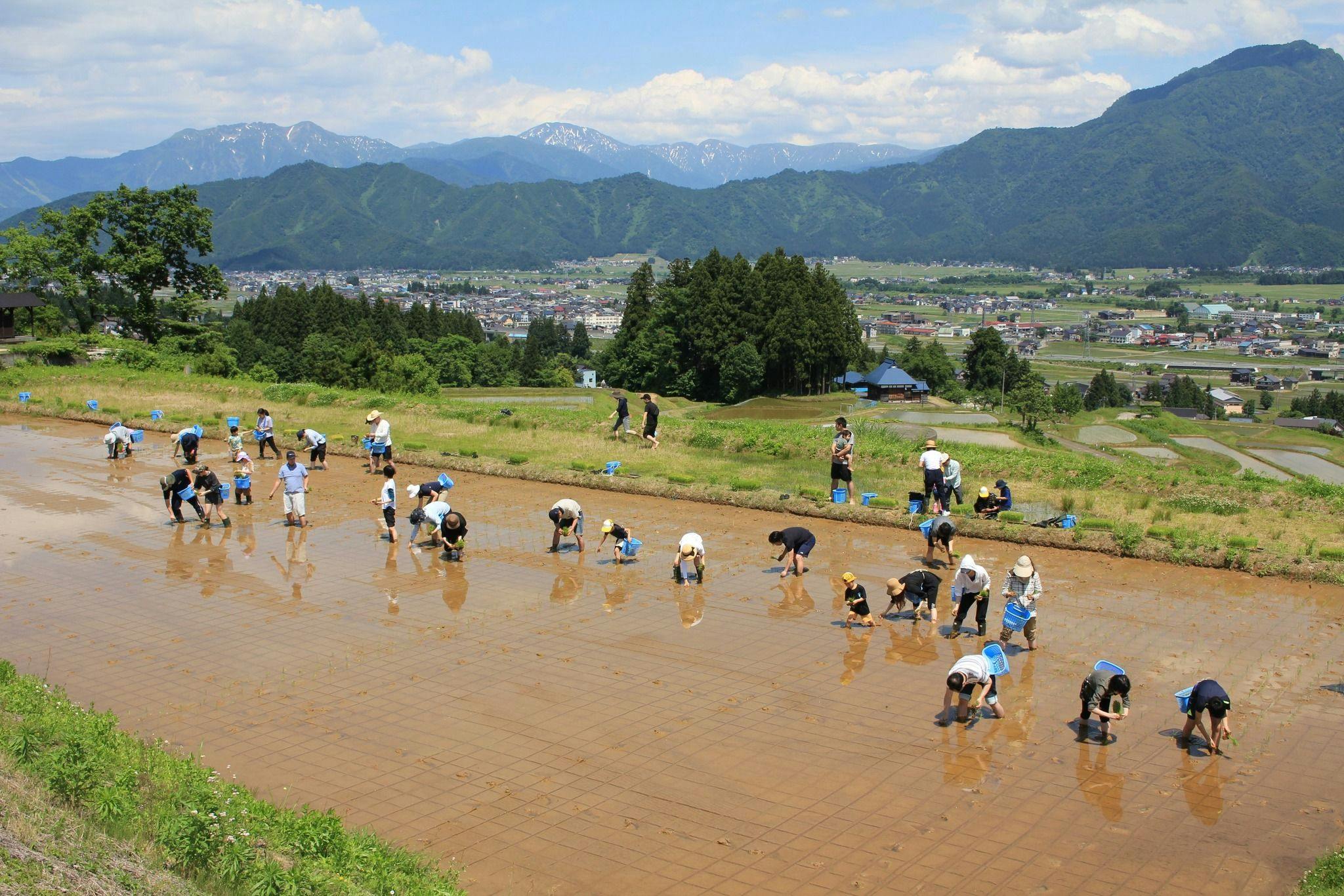 里山十帖