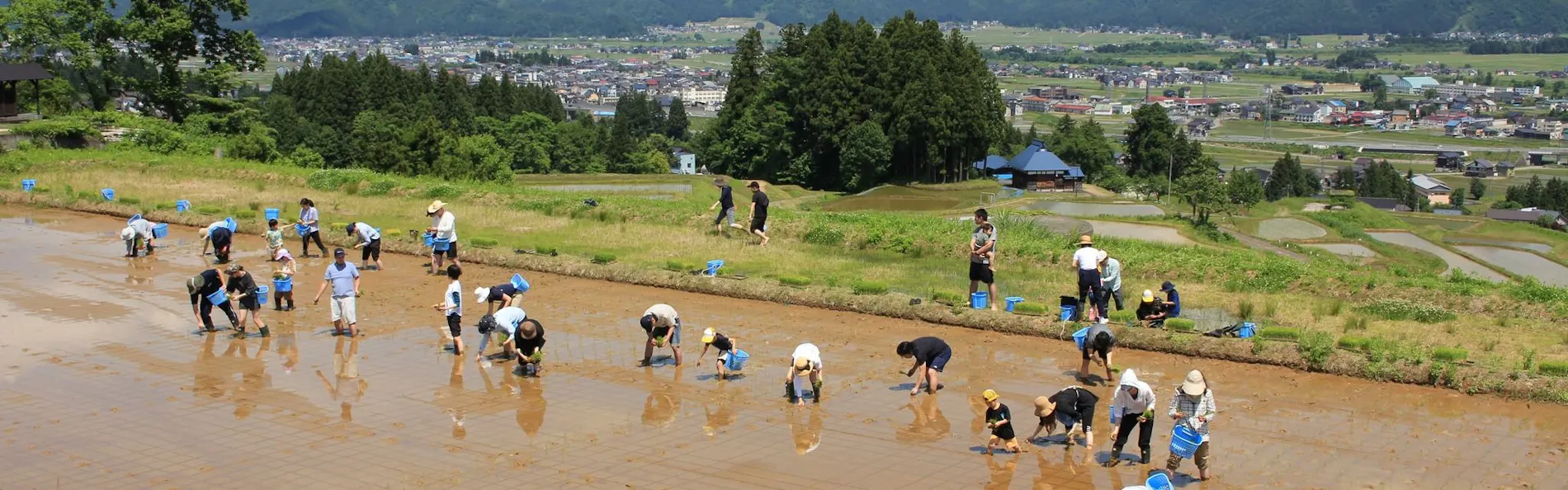 里山十帖