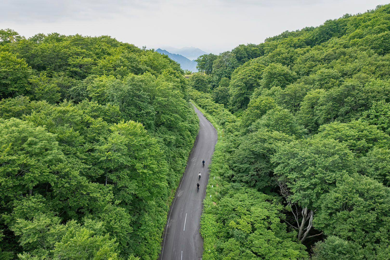 専用車で峠まで。峠からのダウンヒル