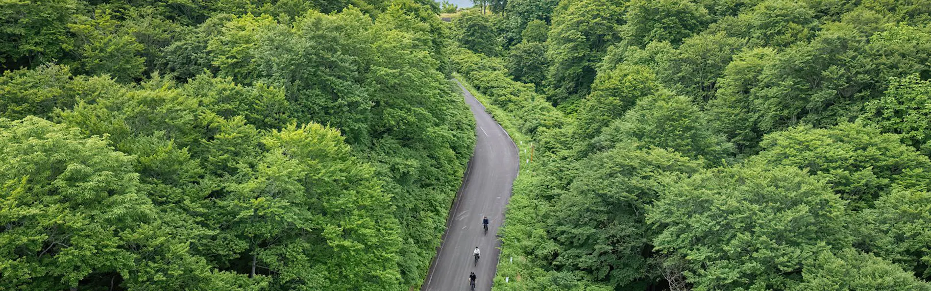 里山十帖