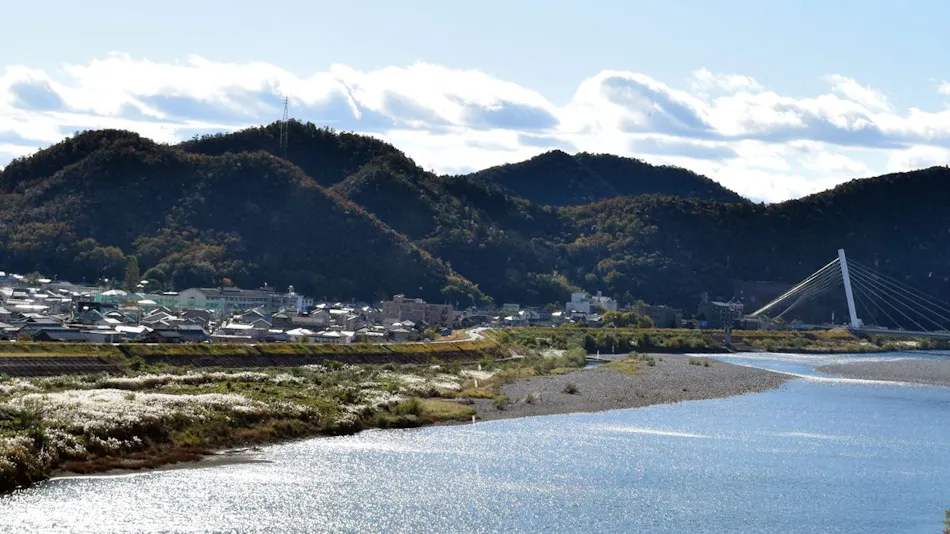 Nagaragawa Seiryu Hotel (Formerly: Hotel Nagaragawa no Sato)