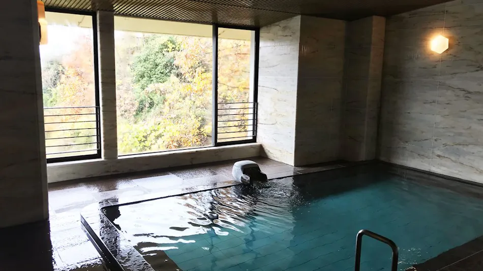 Nagaragawa Seiryu Hotel (Formerly: Hotel Nagaragawa no Sato)