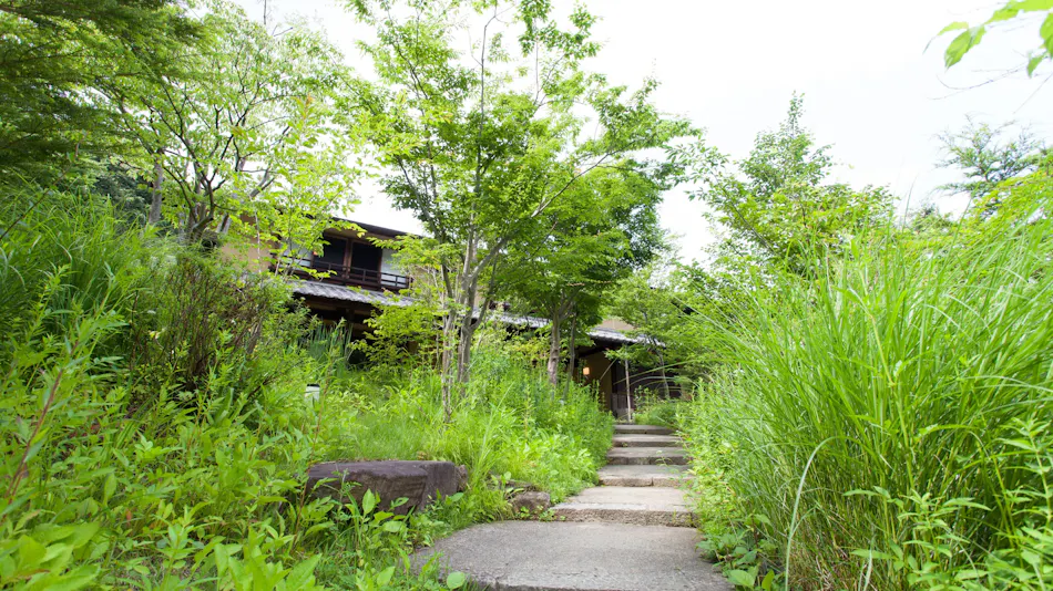 Sansuikan