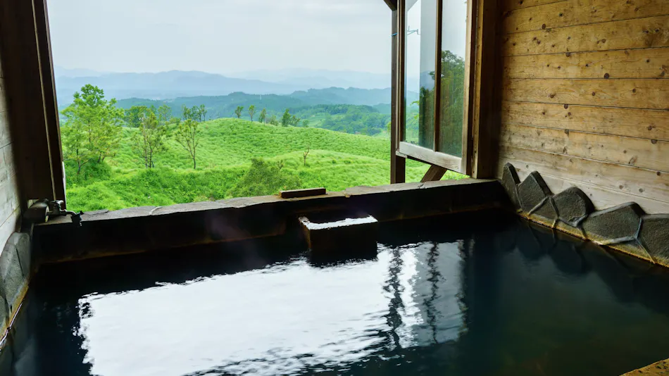 Hiyose Onsen Tenkazan-so