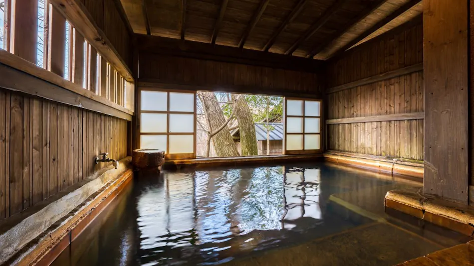 Hiyose Onsen Tenkazan-so